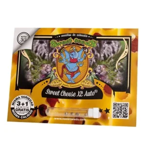 Sweet Cheese XL Auto 3+1