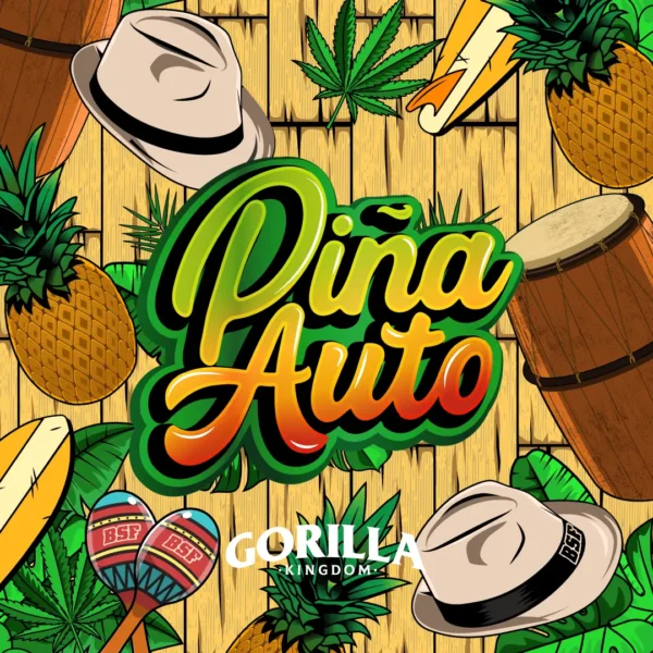 Auto Gorilla Piña - BSF