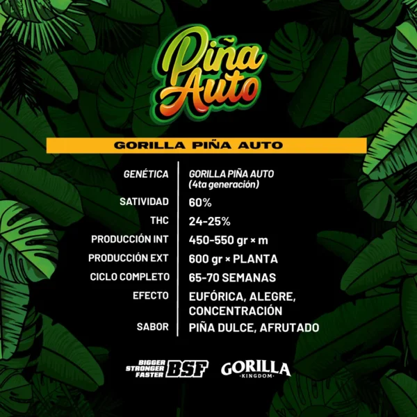 Auto Gorilla Piña - BSF - Imagen 2