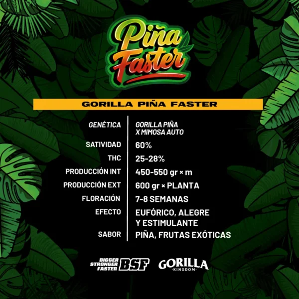 Gorilla Piña Faster x4 - BSF - Imagen 2
