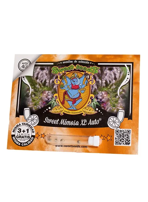 Sweet Mimosa XL Auto 3+1