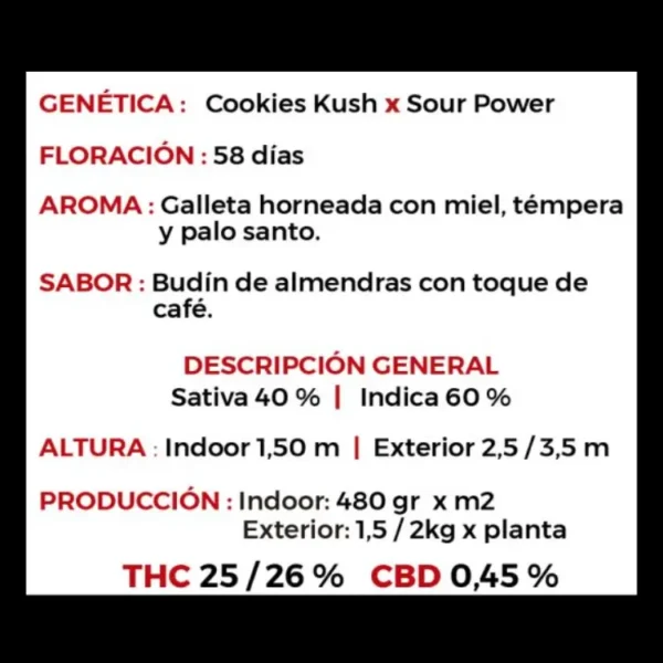 KUCHI DIESEL x5 - Imagen 2