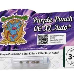 PURPLE PUNCH OG XL AUTO 3+1