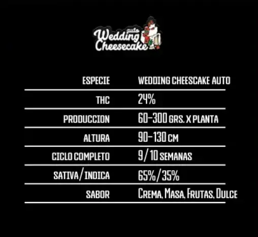 WEDDING CHEESECAKE AUTO X5 - Imagen 2