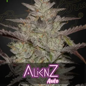 Alienz Auto x6 - Green House