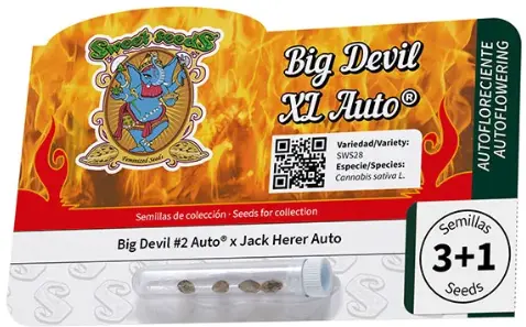 Big Devil XL Auto - Sweet Seeds
