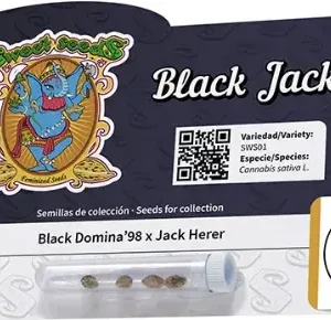 Black jack 3+1 - Sweet Seeds