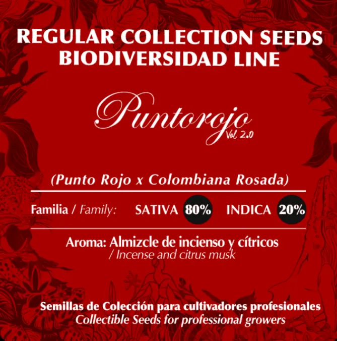 Punto Rojo x10 (REGULARES) - BlackTuna - Imagen 2