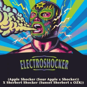 ELECTROSHOCKER X5