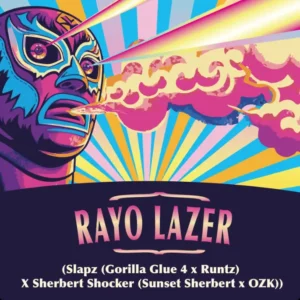 RAYO LAZER X5
