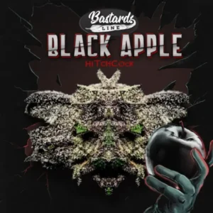 Bastards Line: Black Apple Hitchcock – fem