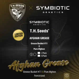 Afghan Grease x2 - T.H. Seeds X Symbiotic Gens