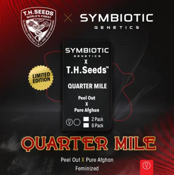 Quarter Mile x2 - T.H. Seeds X Symbiotic Gens
