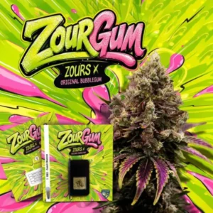 ZourGum x7 - T.H. Seeds