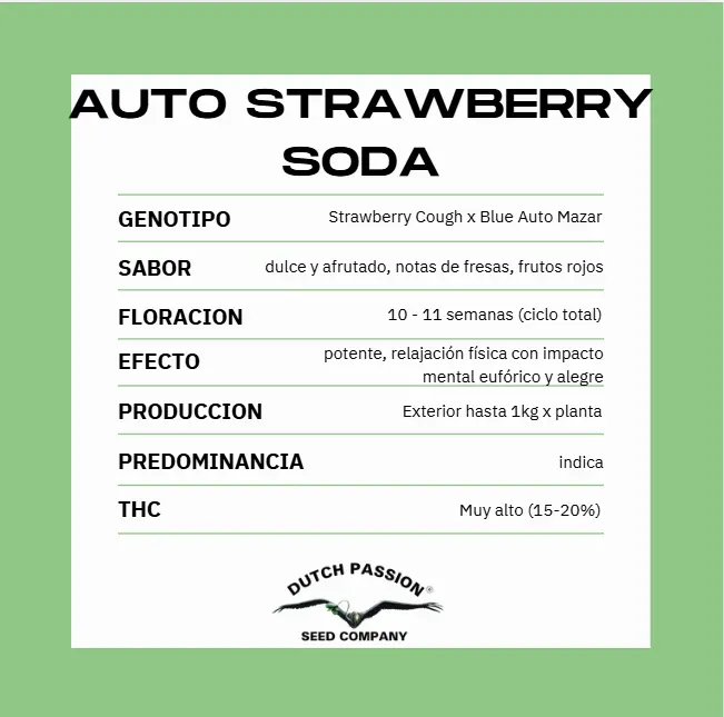 AUTO STRAWBERRY SODA X3 - Imagen 2
