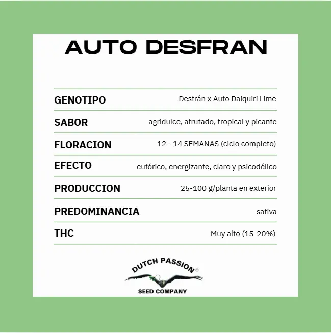 AUTO DESFRAN X3 - Imagen 2