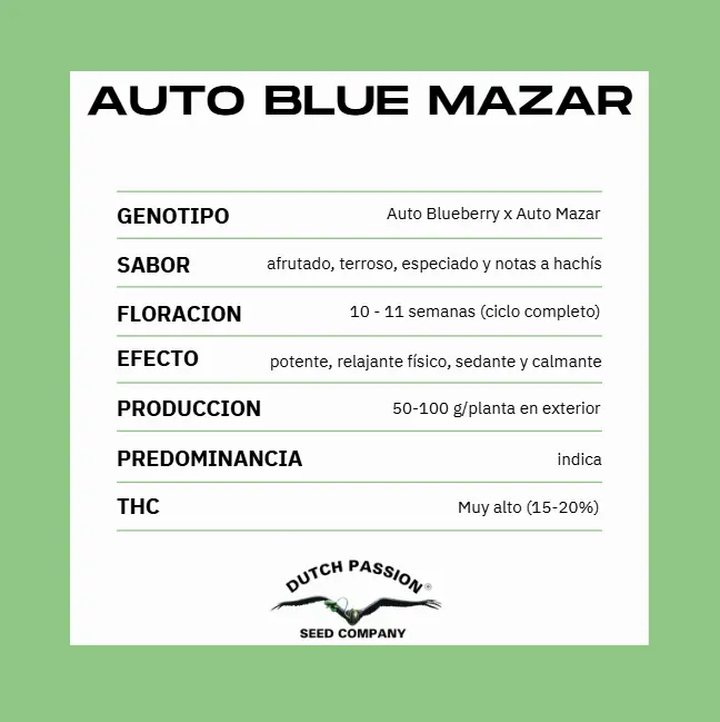 AUTO BLUE MAZAR X3 - Imagen 2