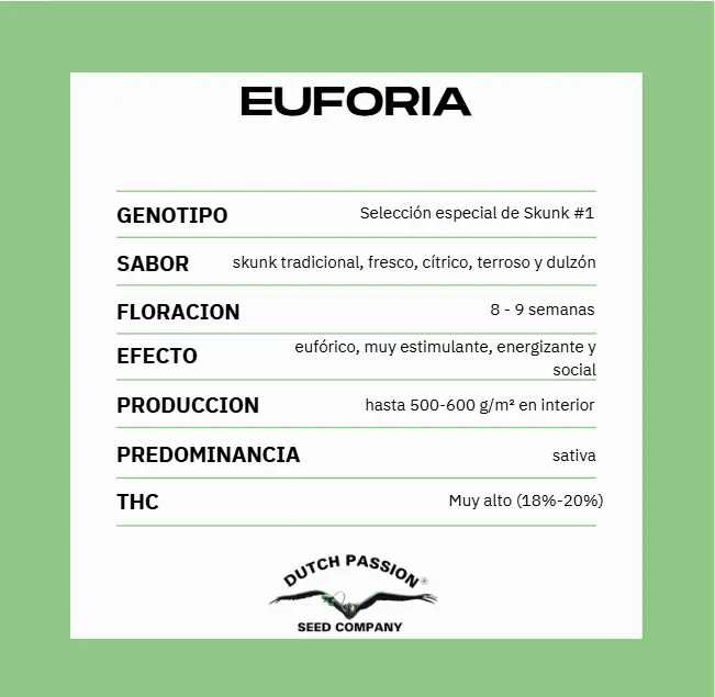 EUFORIA - Imagen 2