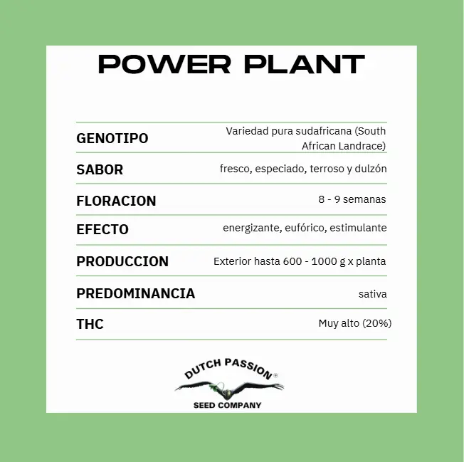 POWER PLANT X3 - Imagen 2
