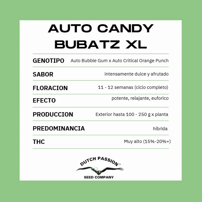 AUTO CANDY BUBATZ XL X3 - Imagen 2